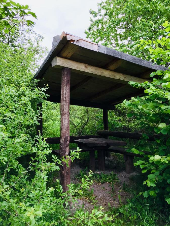 Gaestehaus Hohetanne1 Grossbreitenbach المظهر الخارجي الصورة